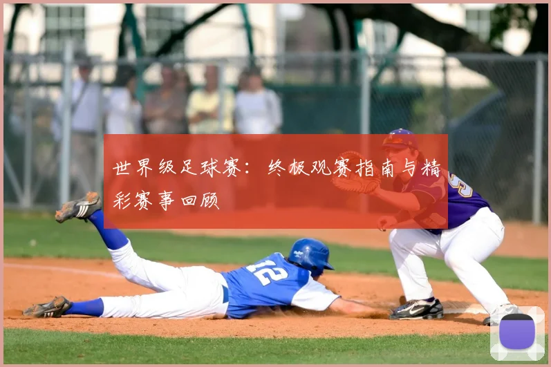 世界级足球赛:终极观赛指南与精彩赛事回顾