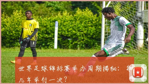世界足球锦标赛举办周期揭秘:每几年举行一次?
